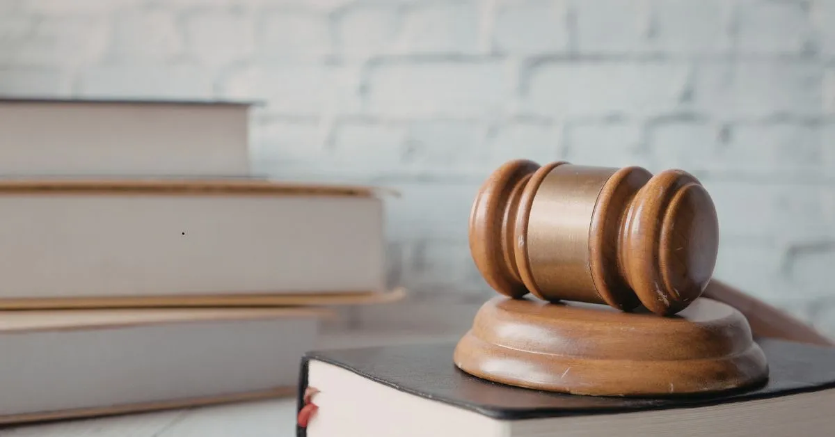 Guarda em caso de acusação falsa contra um dos pais e análise de provas pela Justiça